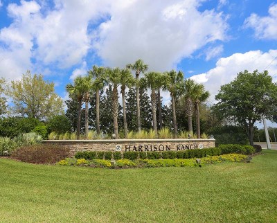 Harrison Ranch: Your Dream Home in Parrish, FL